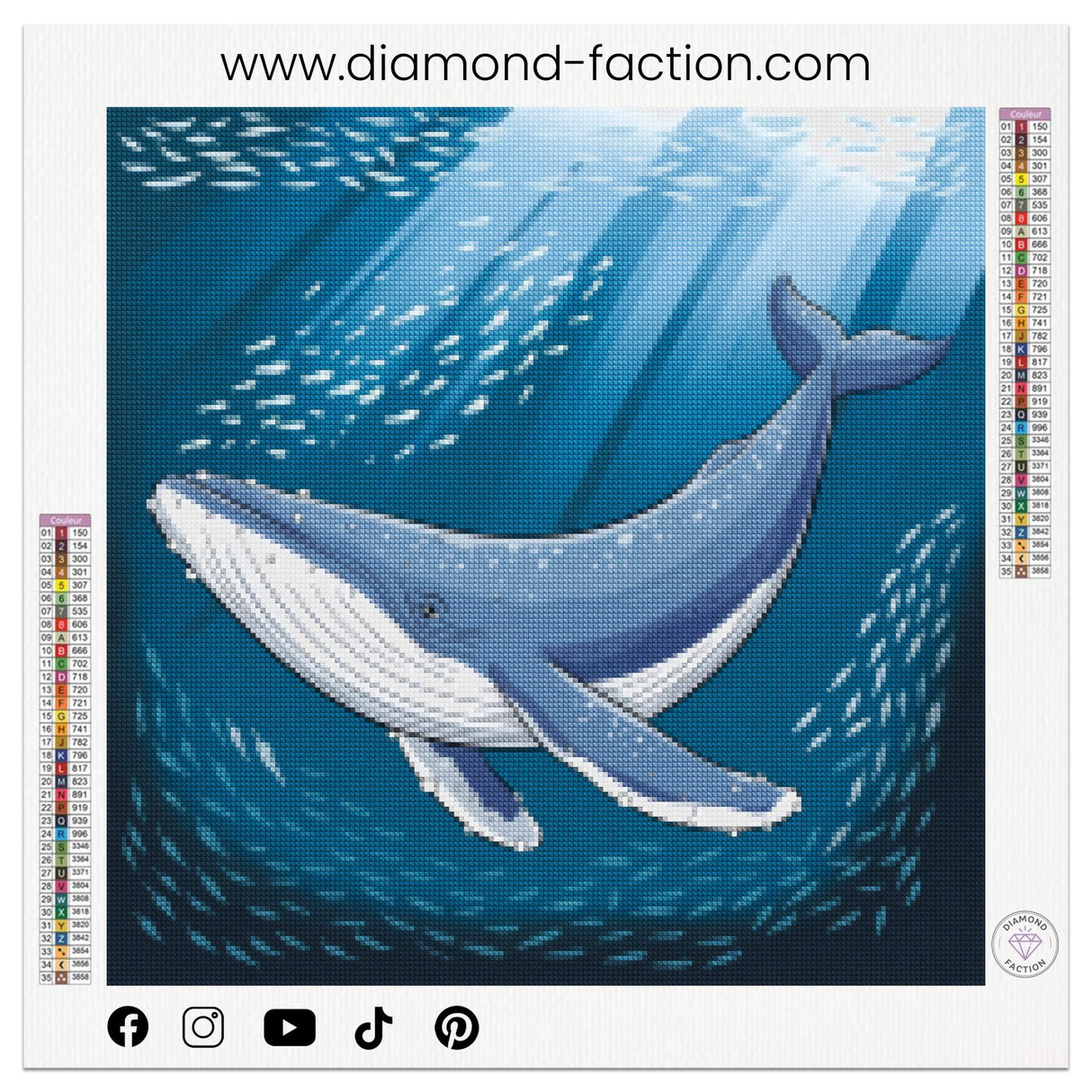 Broderie Diamant - Baleine Géante - Diamond Faction