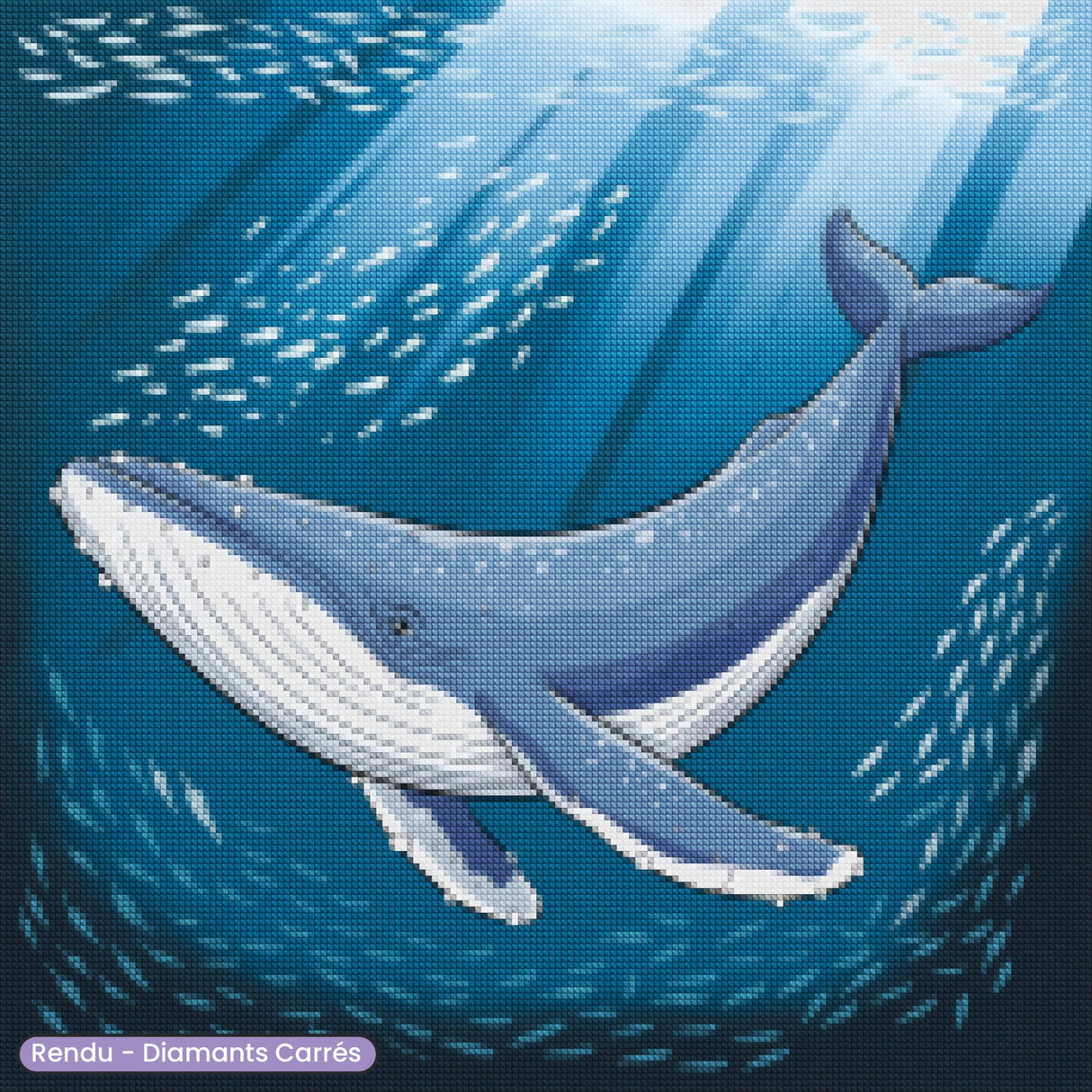 Broderie Diamant - Baleine Géante - Diamond Faction