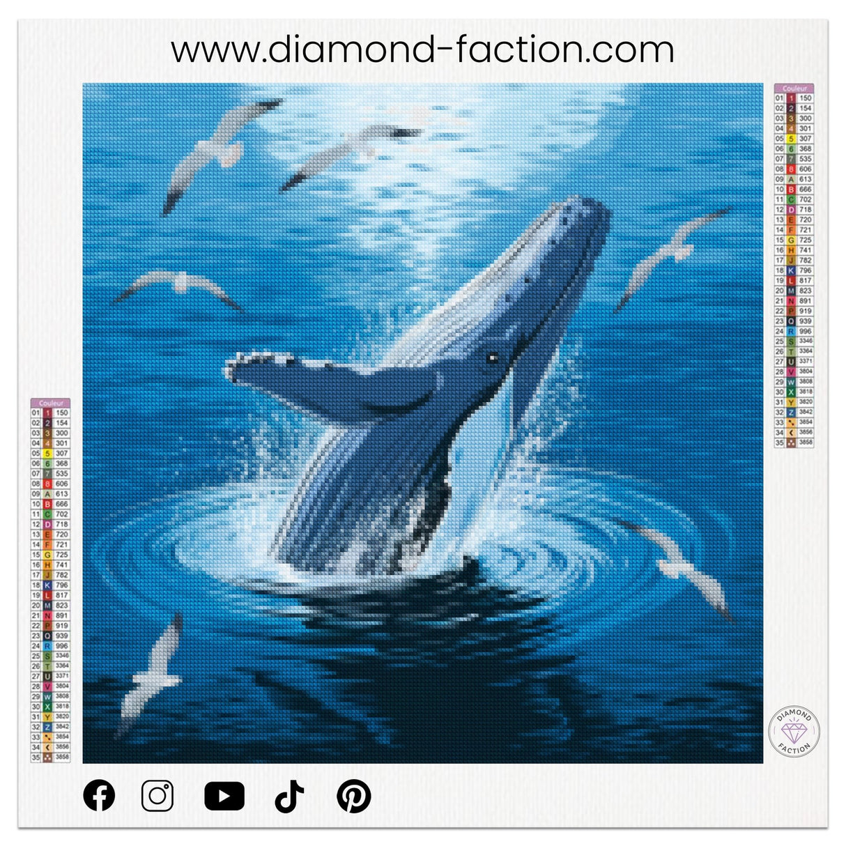 Broderie Diamant - Baleine Sortante - Diamond Faction