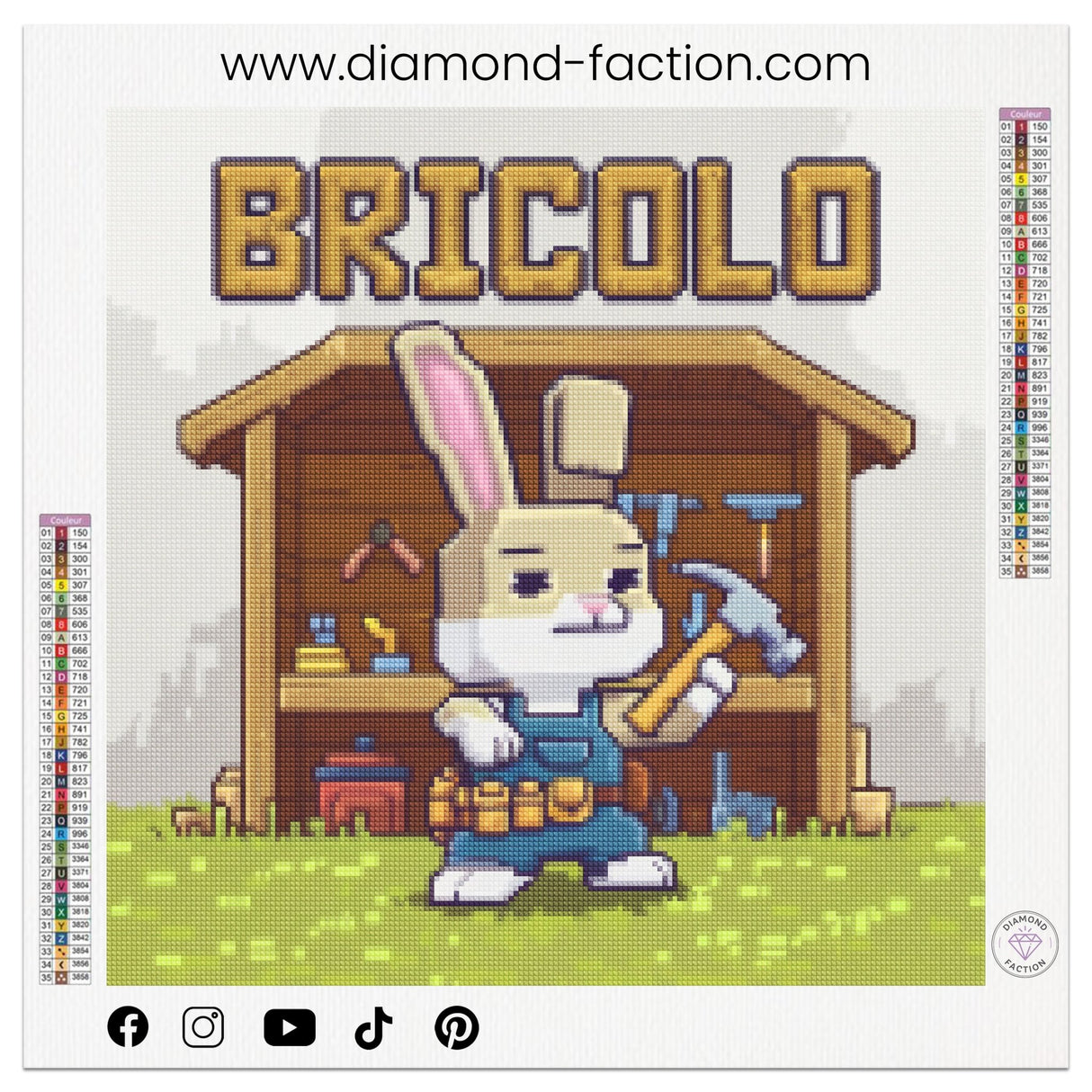 Broderie - Diamant - Bricolo - Diamond Faction