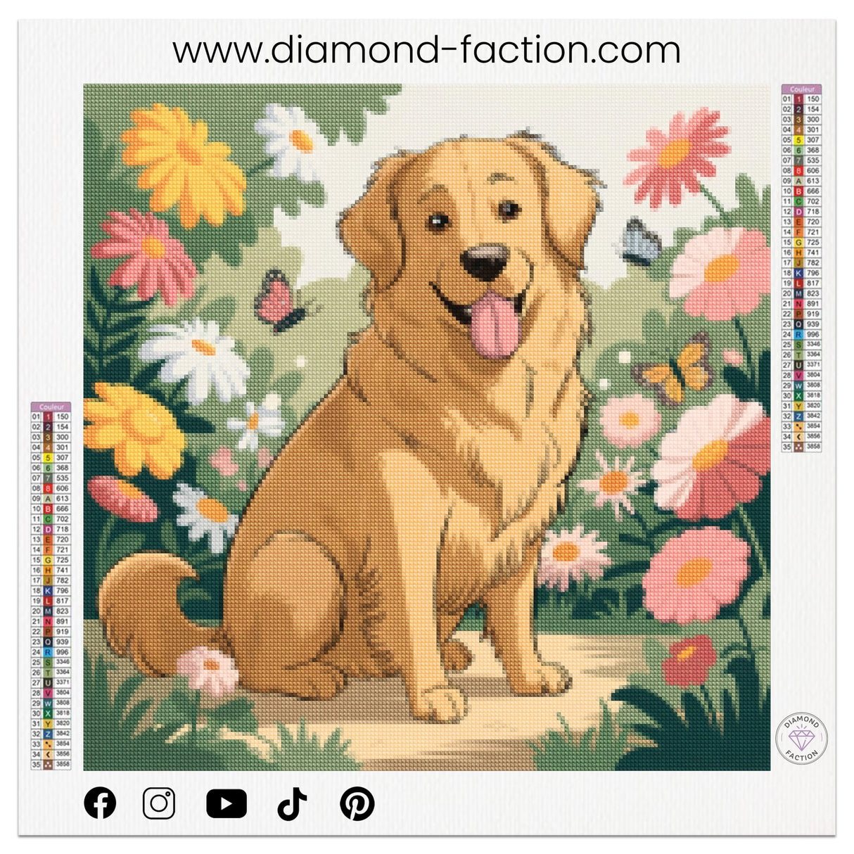 Broderie Diamant - Chien Golden Retriever - Diamond Faction