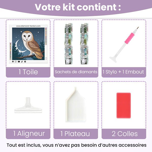 Broderie Diamant - Chouette de Nuit - Diamond Faction