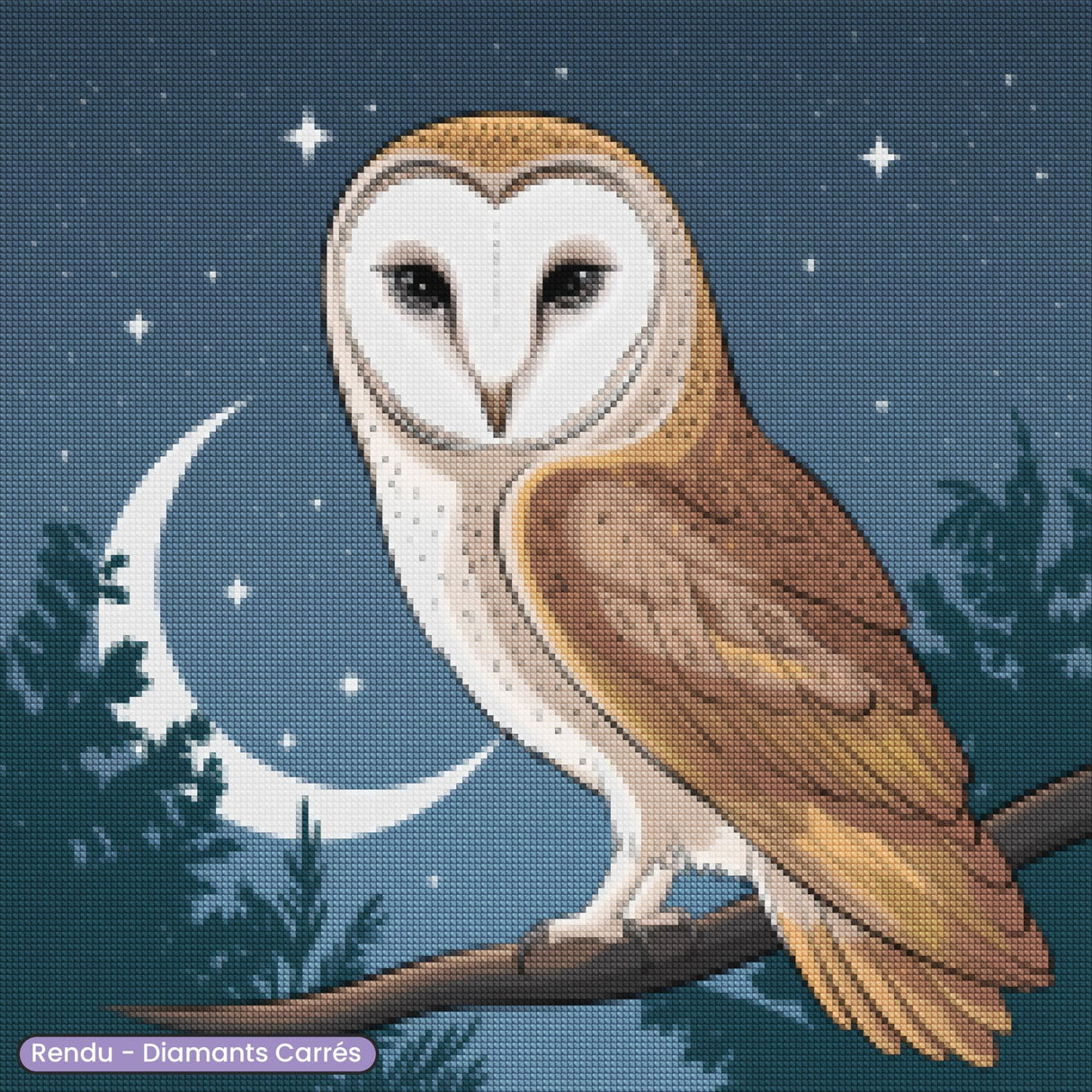 Broderie Diamant - Chouette de Nuit - Diamond Faction