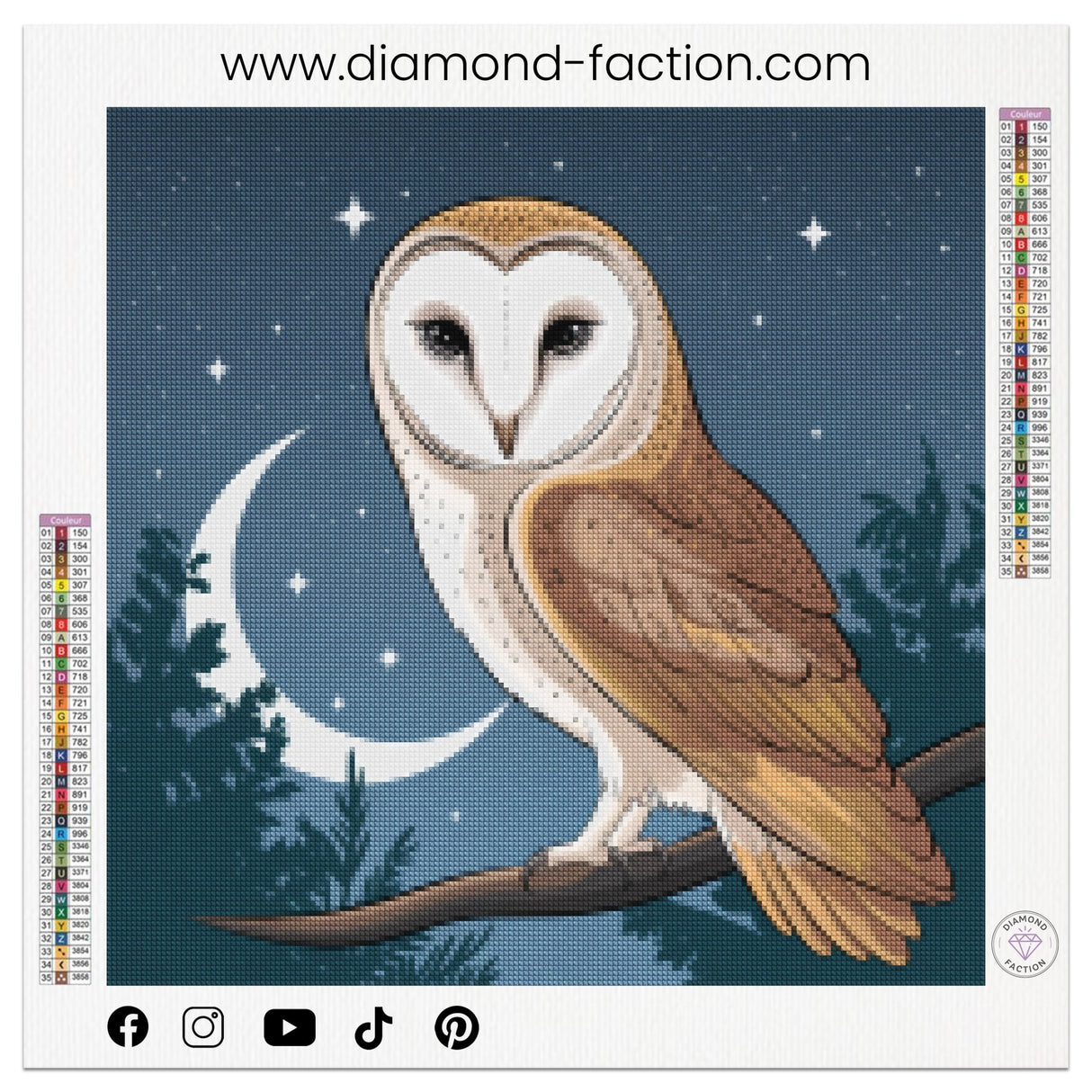 Broderie Diamant - Chouette de Nuit - Diamond Faction