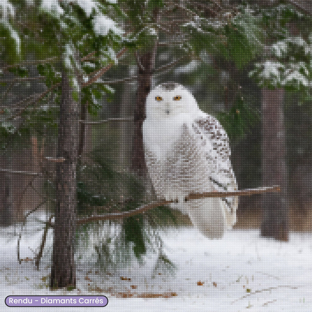 Broderie Diamant - Chouette des neiges - Diamond Faction
