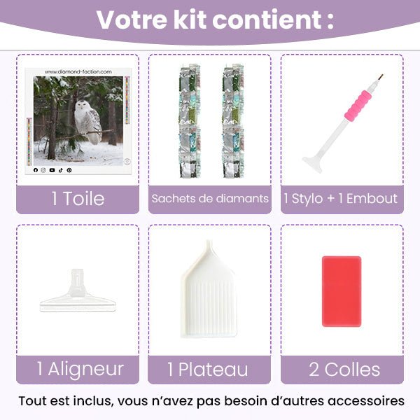 Broderie Diamant - Chouette des neiges - Diamond Faction