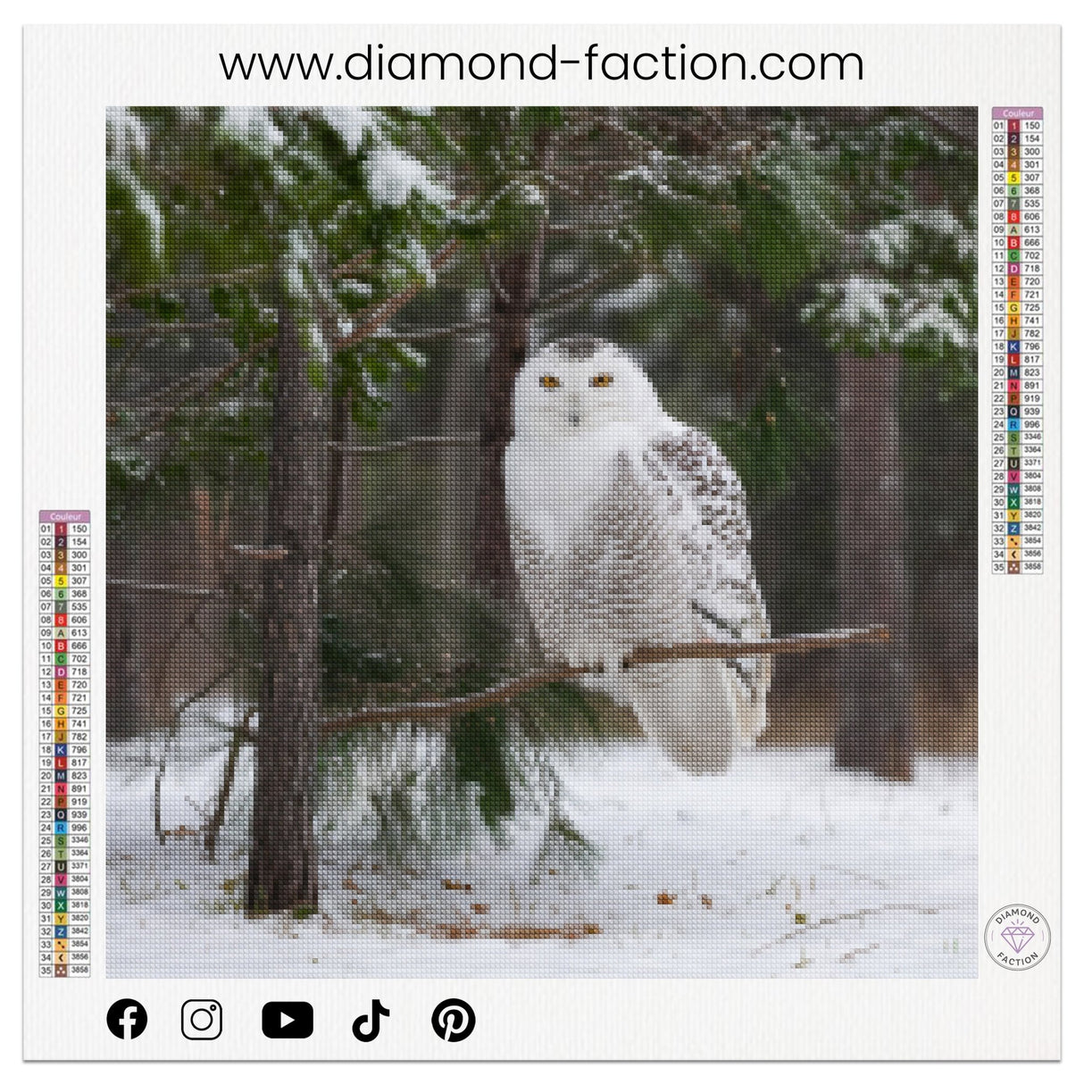 Broderie Diamant - Chouette des neiges - Diamond Faction
