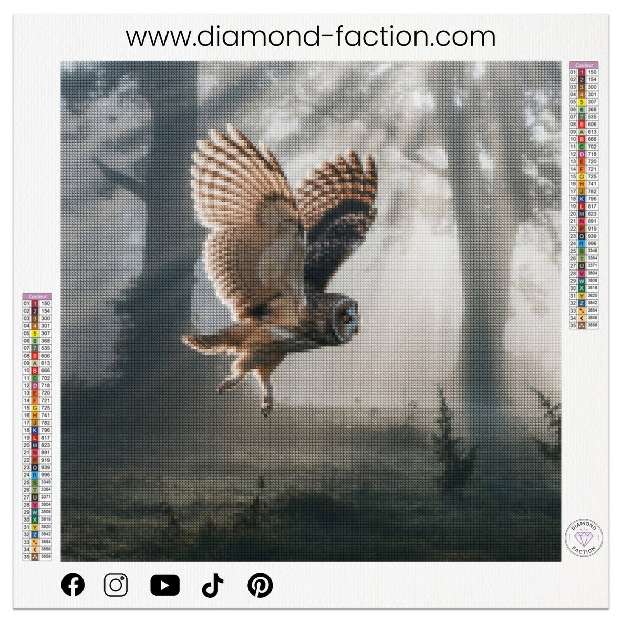 Broderie Diamant - Chouette Nocturne - Diamond Faction