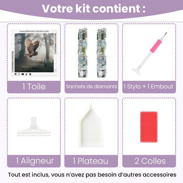 Broderie Diamant - Chouette Nocturne - Diamond Faction