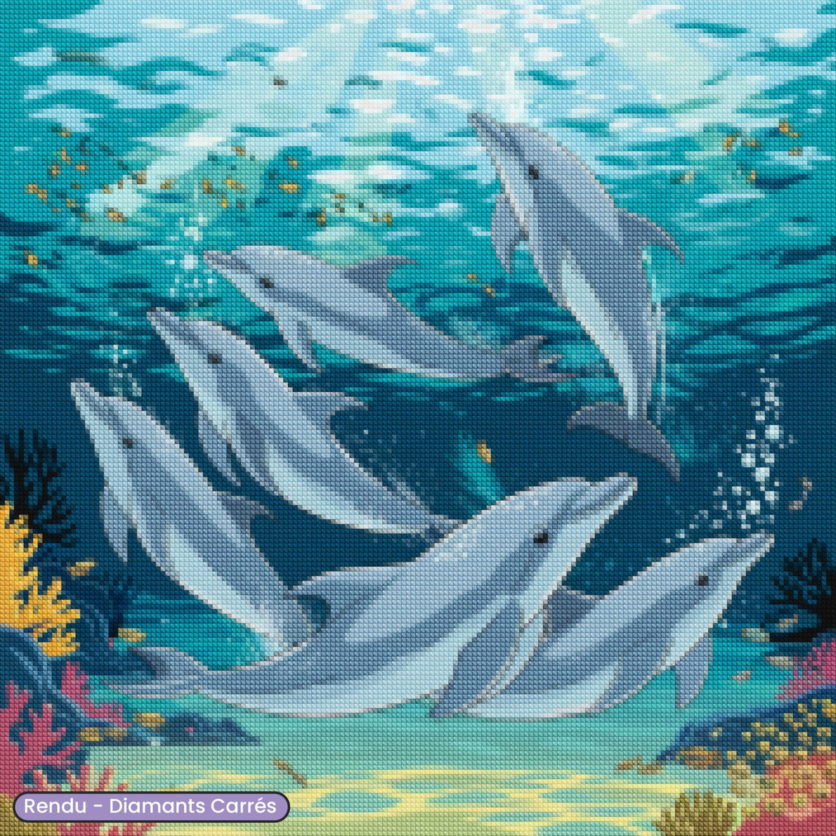 Broderie Diamant - Dauphin qui nagent - Diamond Faction
