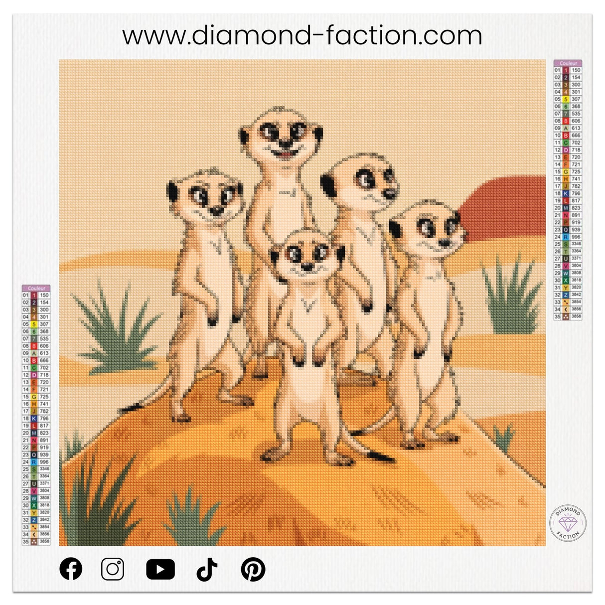 Broderie Diamant - Famille Suricate - Diamond Faction