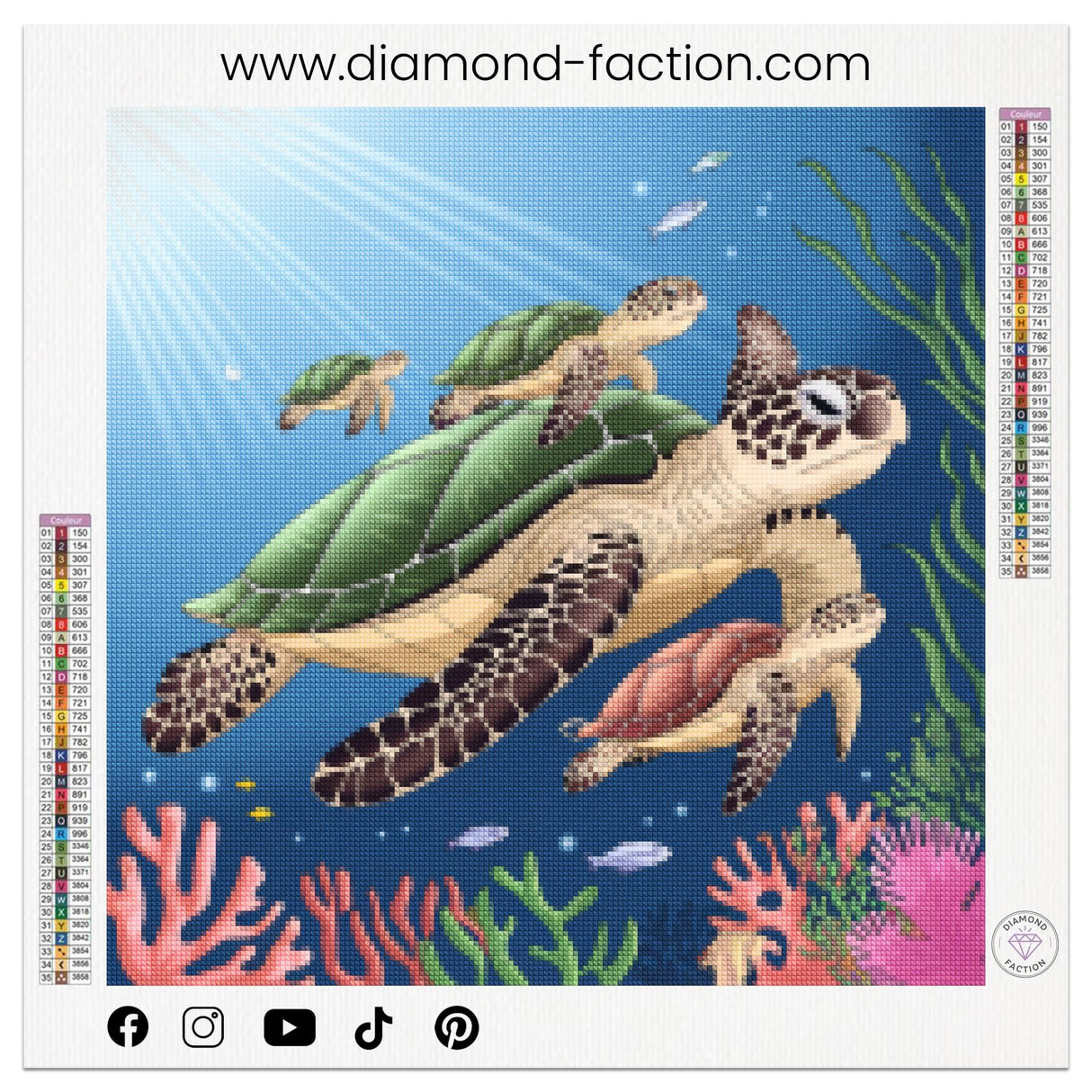 Broderie Diamant - Famille Tortue - Diamond Faction