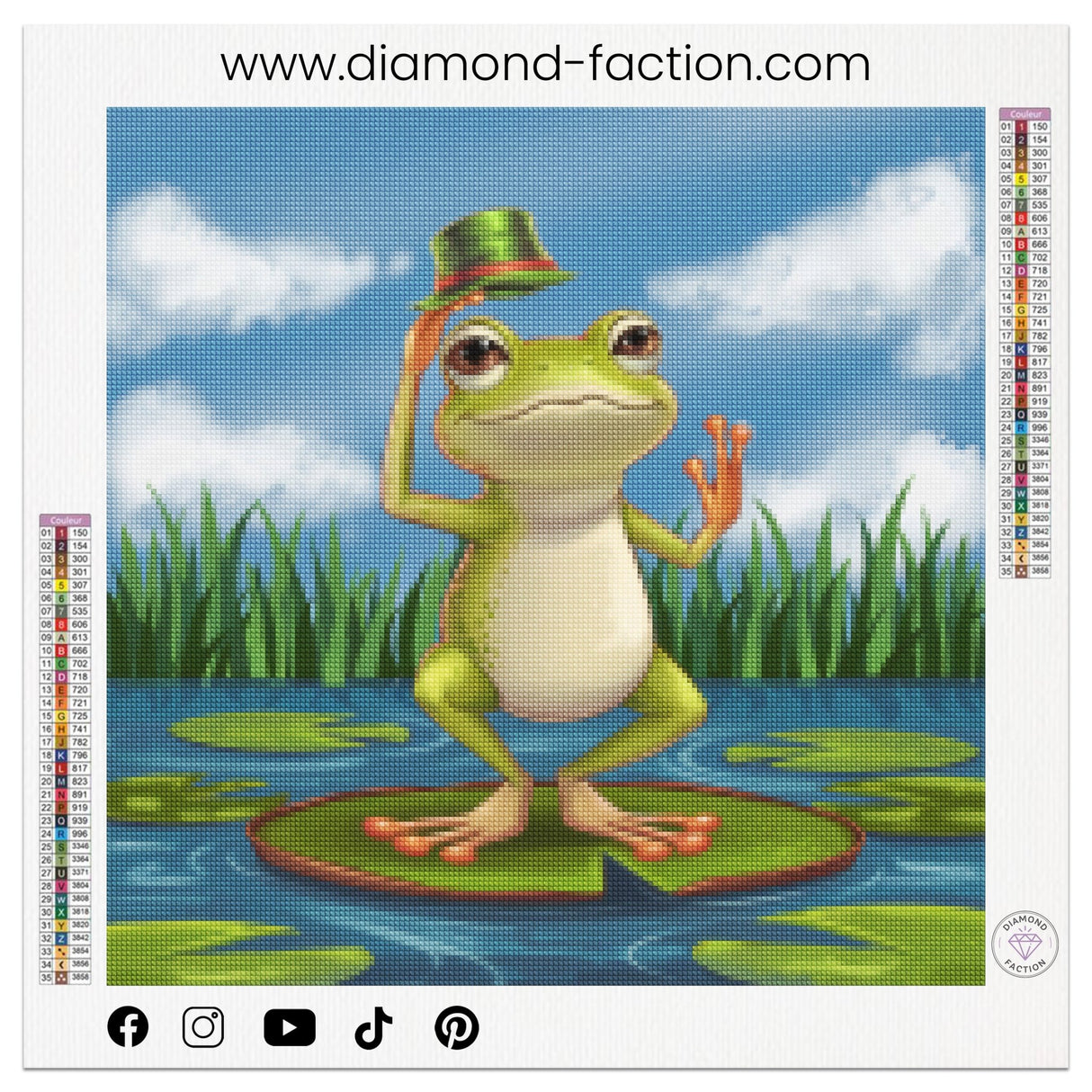 Broderie Diamant - Grenouille au Chapeau - Diamond Faction