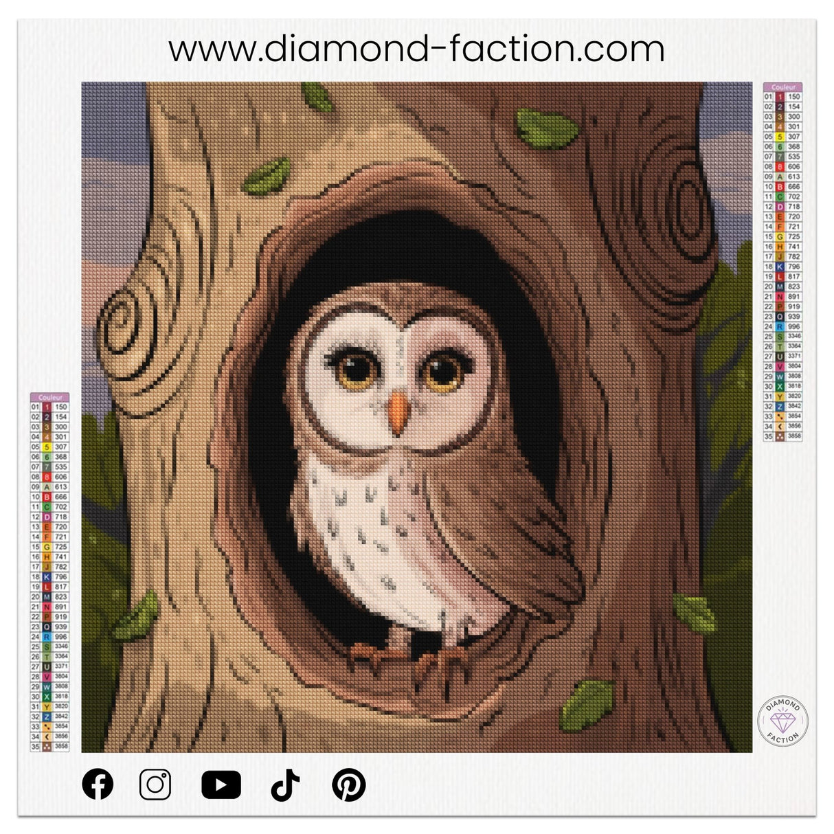 Broderie Diamant - Hibou caché - Diamond Faction