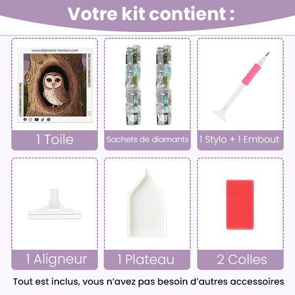 Broderie Diamant - Hibou caché - Diamond Faction