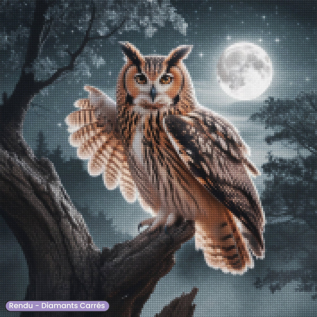 Broderie Diamant - Hibou Lune - Diamond Faction