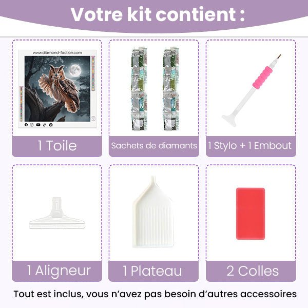 Broderie Diamant - Hibou Lune - Diamond Faction