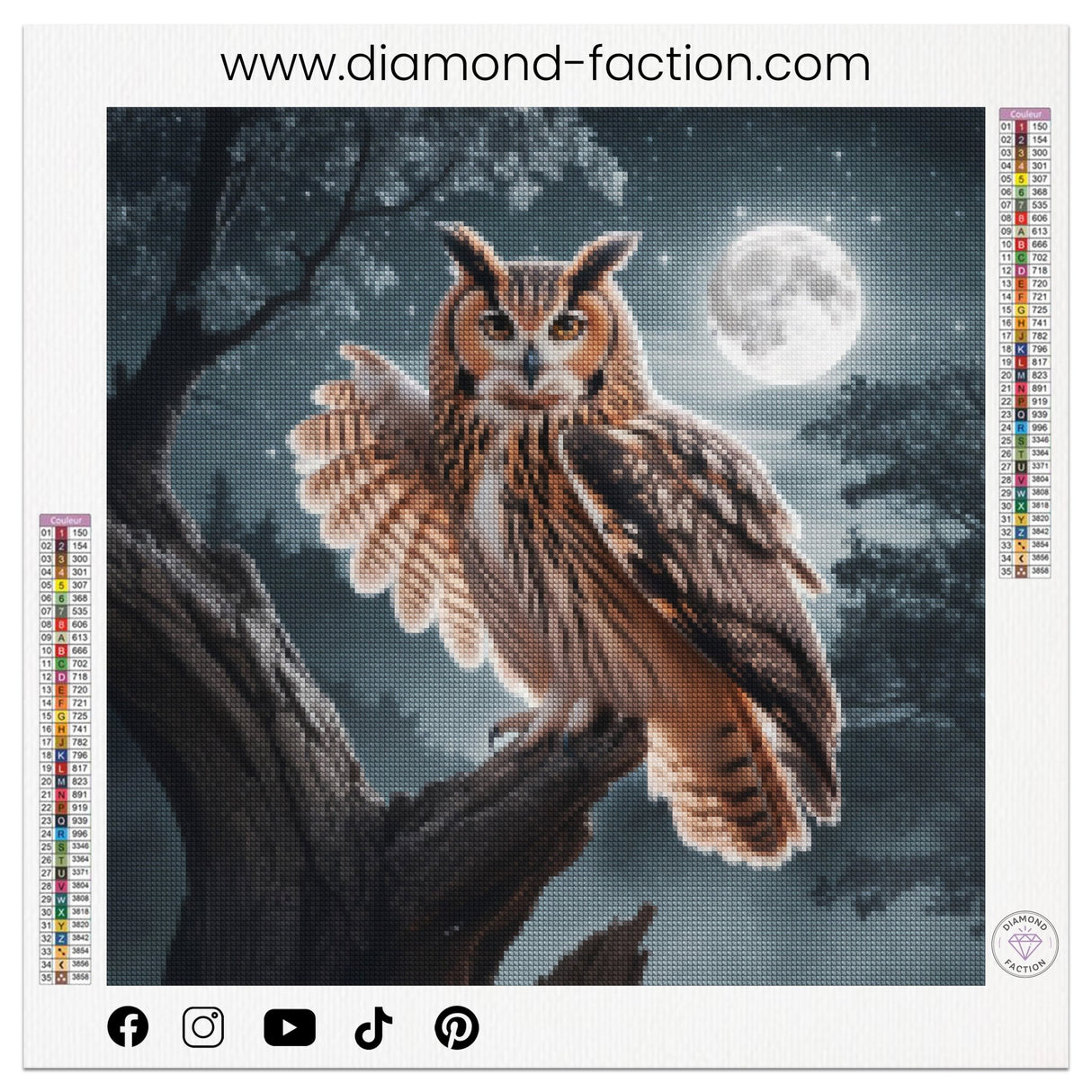 Broderie Diamant - Hibou Lune - Diamond Faction