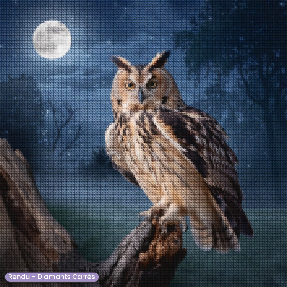 Broderie Diamant - Hibou Nocturne - Diamond Faction