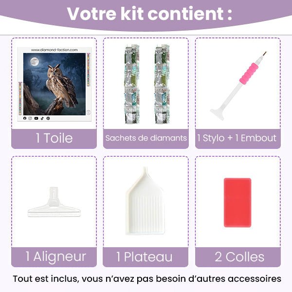 Broderie Diamant - Hibou Nocturne - Diamond Faction