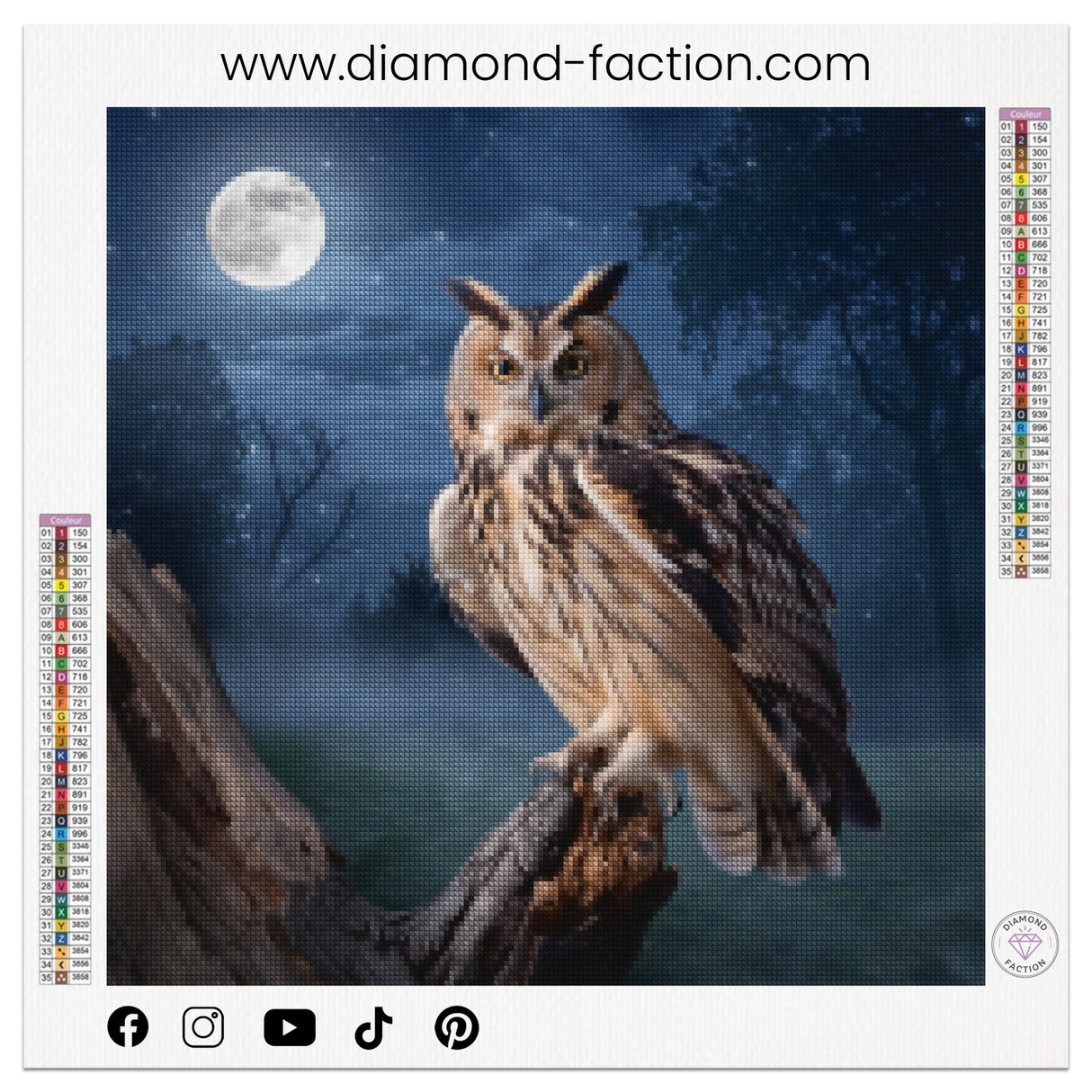 Broderie Diamant - Hibou Nocturne - Diamond Faction