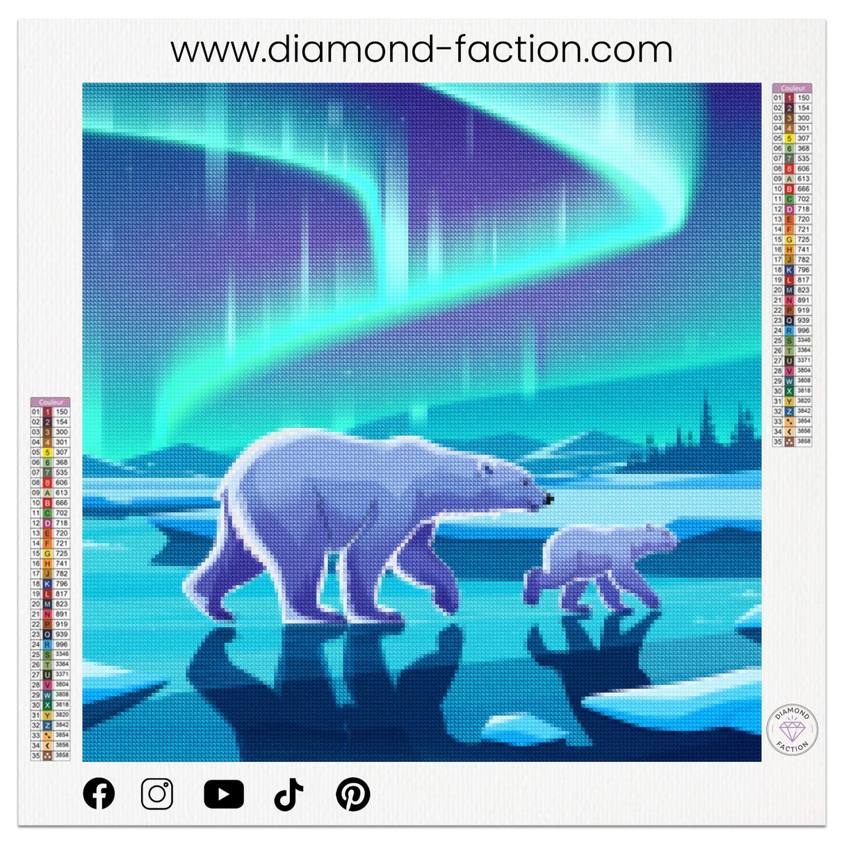 Broderie Diamant - Marche des Ours Polaires - Diamond Faction