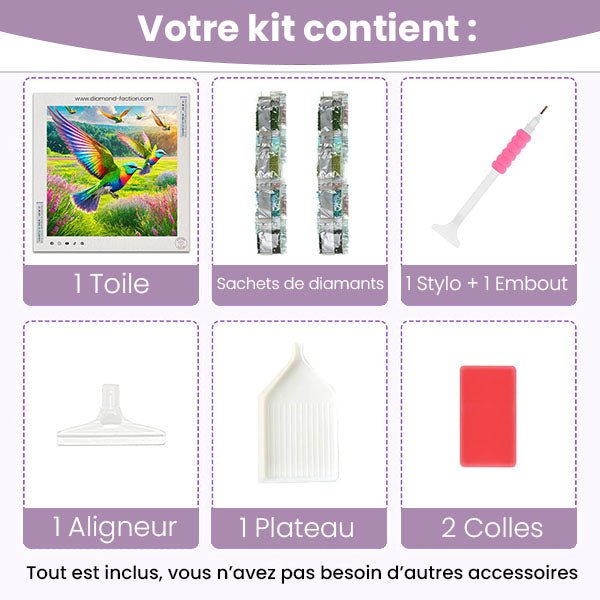 Broderie Diamant - Oiseaux Arc-en-Ciel - Diamond Faction