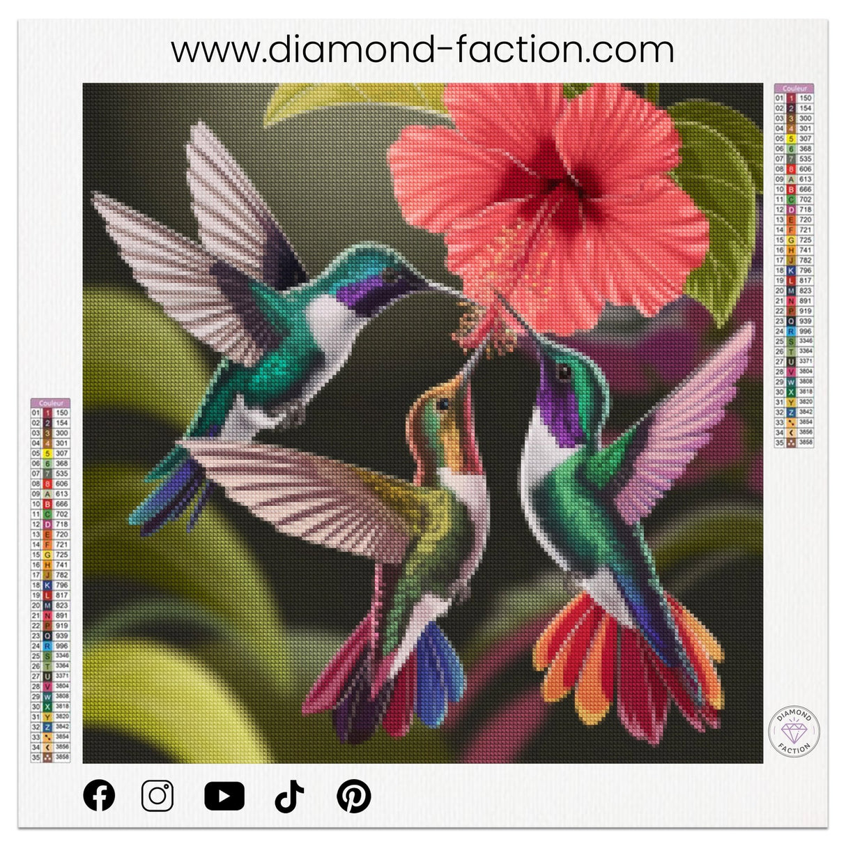 Broderie Diamant - Oiseaux Volants - Diamond Faction