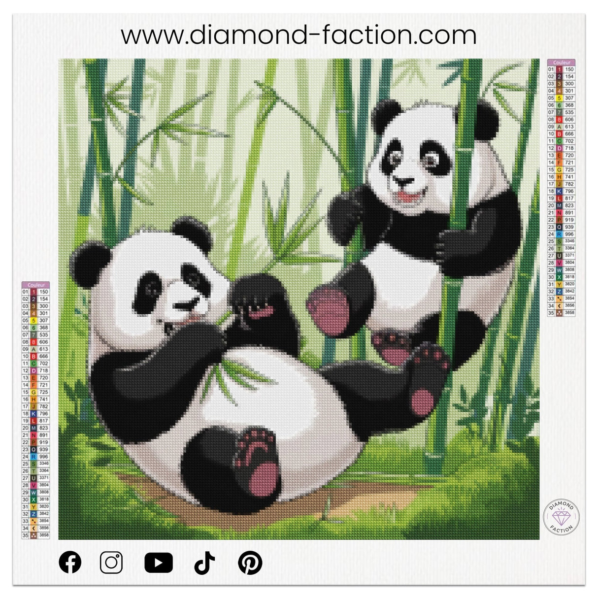 Broderie Diamant - Pandas Amusants - Diamond Faction
