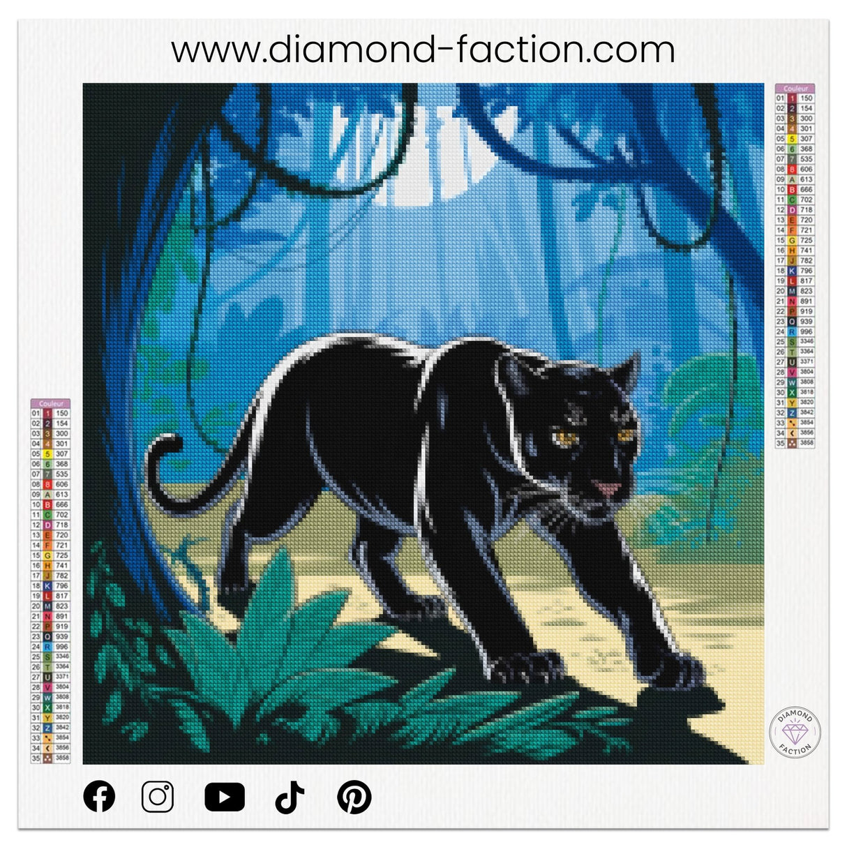 Broderie Diamant - Panthère Noire Cachée - Diamond Faction