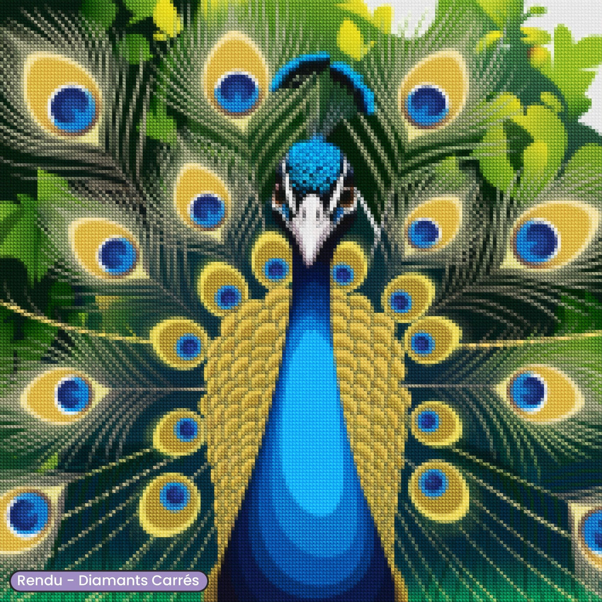 Broderie Diamant - Paon de Face - Diamond Faction