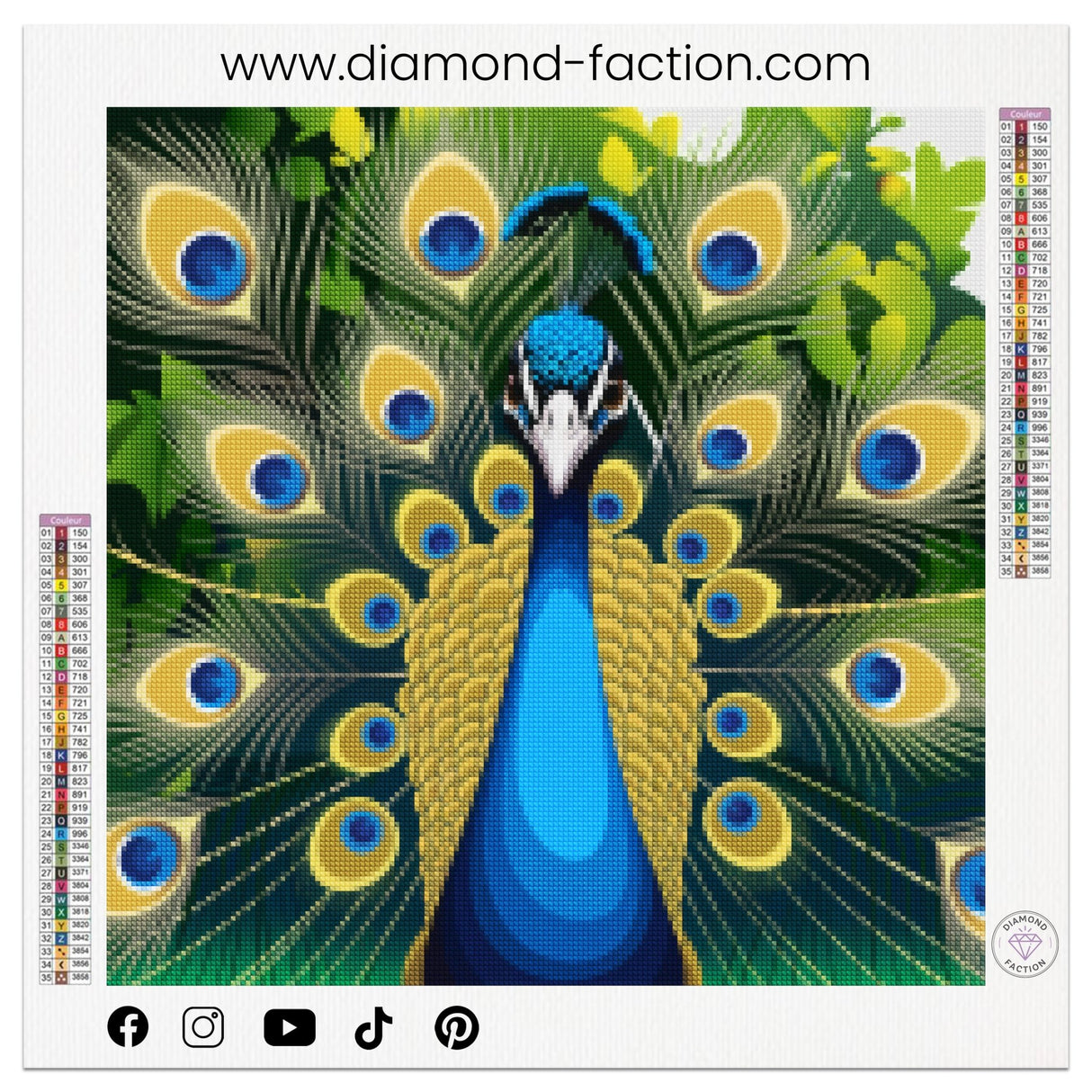 Broderie Diamant - Paon de Face - Diamond Faction