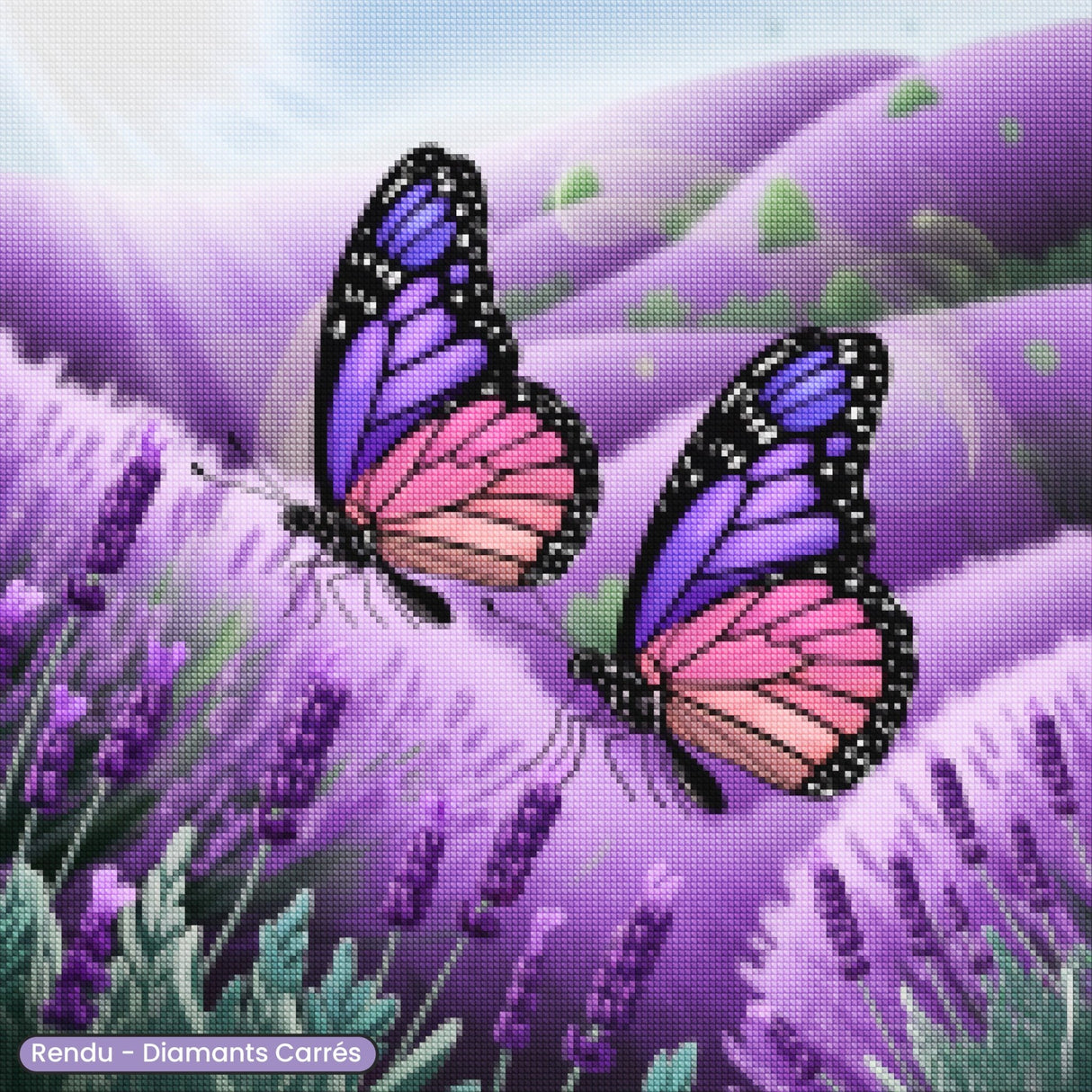 Broderie Diamant - Papillons Provence - Diamond Faction