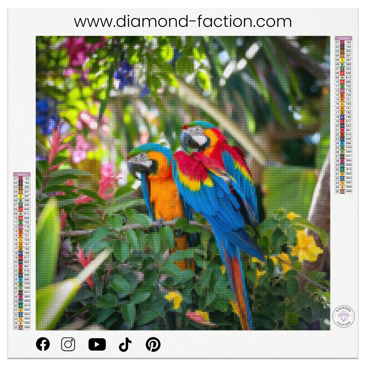 Broderie Diamant - Perroquets Tropicaux - Diamond Faction