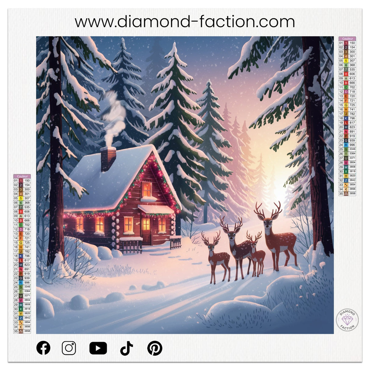 Broderie Diamant - Rennes sur la neige - Diamond Faction
