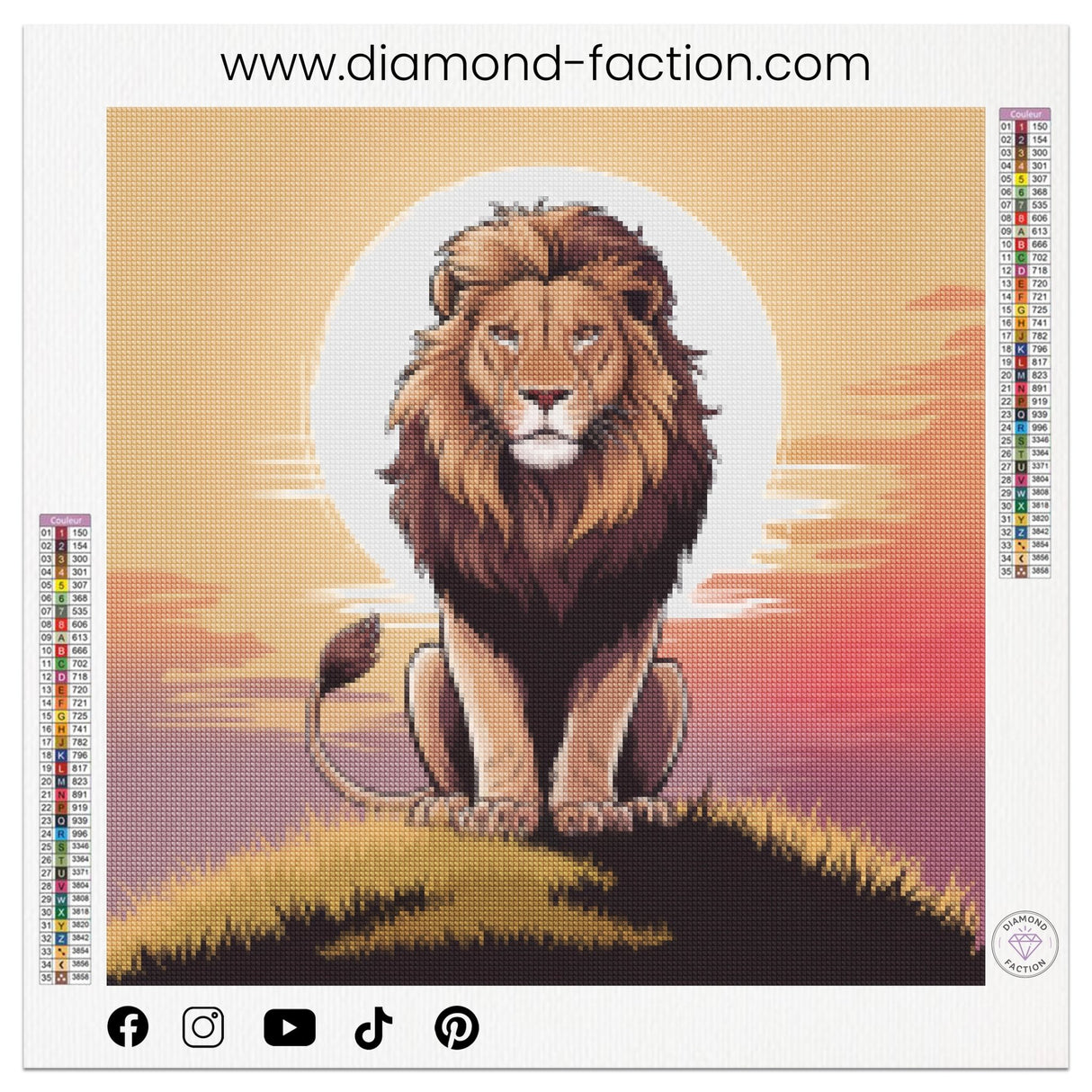 Broderie Diamant - Roi Lion - Diamond Faction