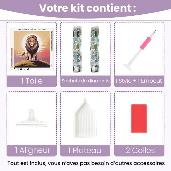 Broderie Diamant - Roi Lion - Diamond Faction