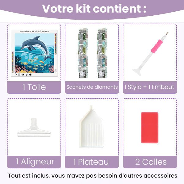 Broderie Diamant - Saut de Dauphin - Diamond Faction