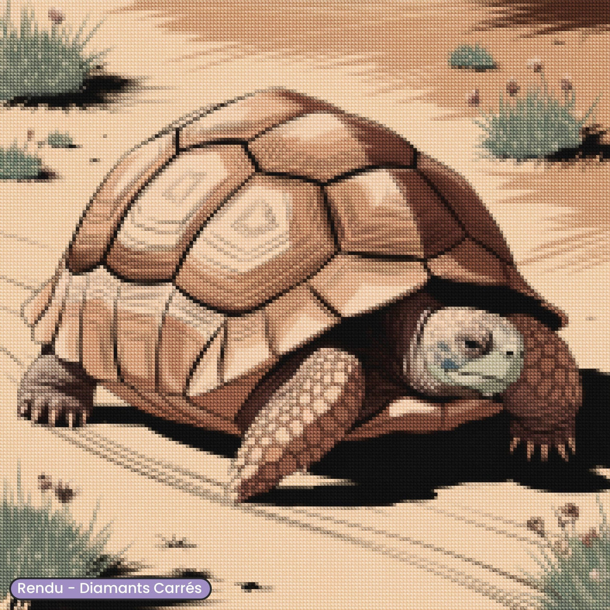 Broderie Diamant - Tortue du Désert - Diamond Faction