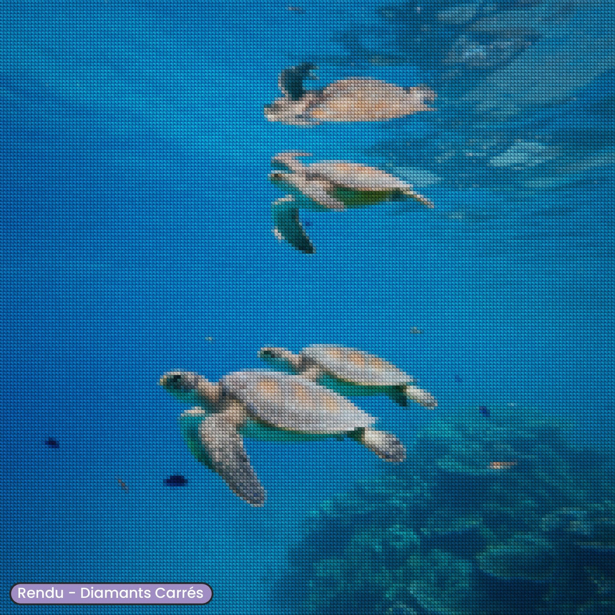 Broderie Diamant - Tortues qui nagent - Diamond Faction