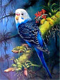 Broderie Diamant - Perroquet de Nuit - Diamond Faction