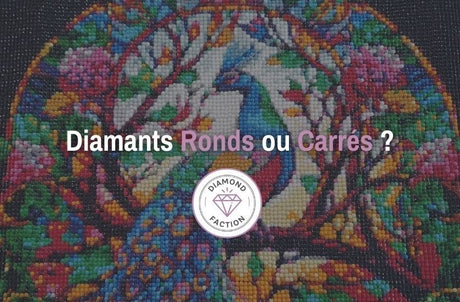 Choisir entre les diamants Rond ou Carré en Diamond Painting - Diamond Faction