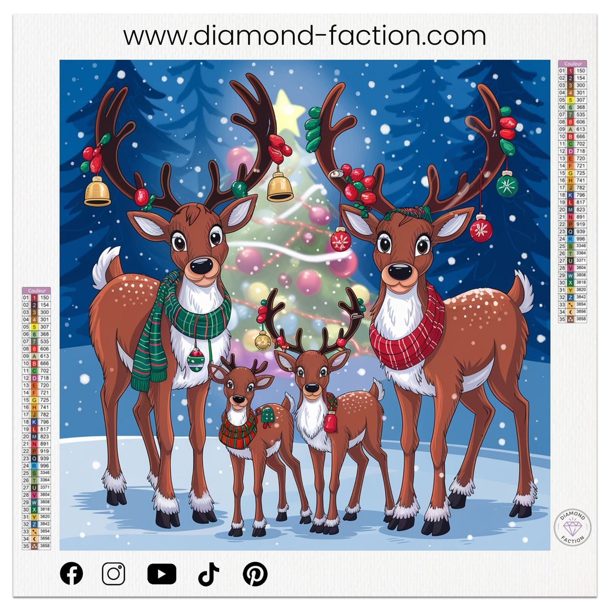 Broderie Diamant - Famille Rennes Noël - Diamond Faction