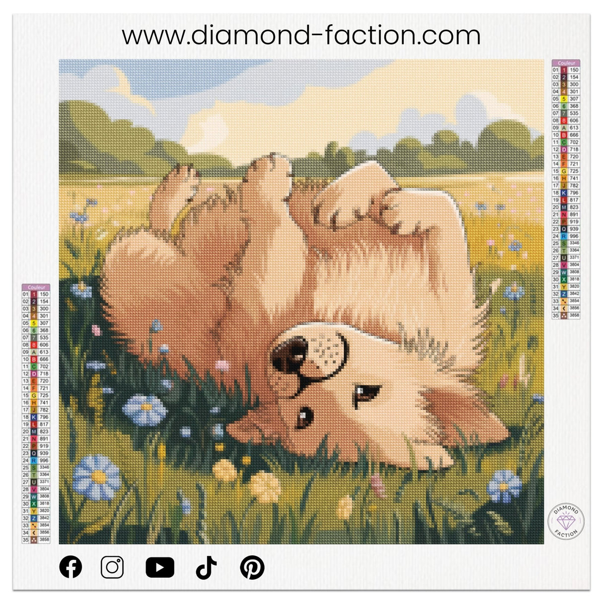 Broderie Diamant - Golden Retriever Prairie - Diamond Faction