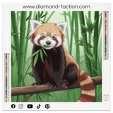 Broderie Diamant - Panda roux - Diamond Faction