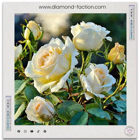 Broderie Diamant - Roses d'Opale - Diamond Faction