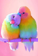 Broderie Diamant - Oiseaux Multicolores Perchés - Diamond Faction