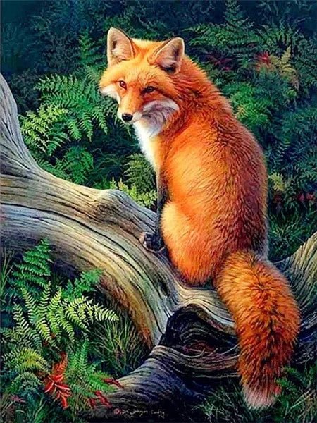 Un-Kits - Fox Un-Kits - Fox