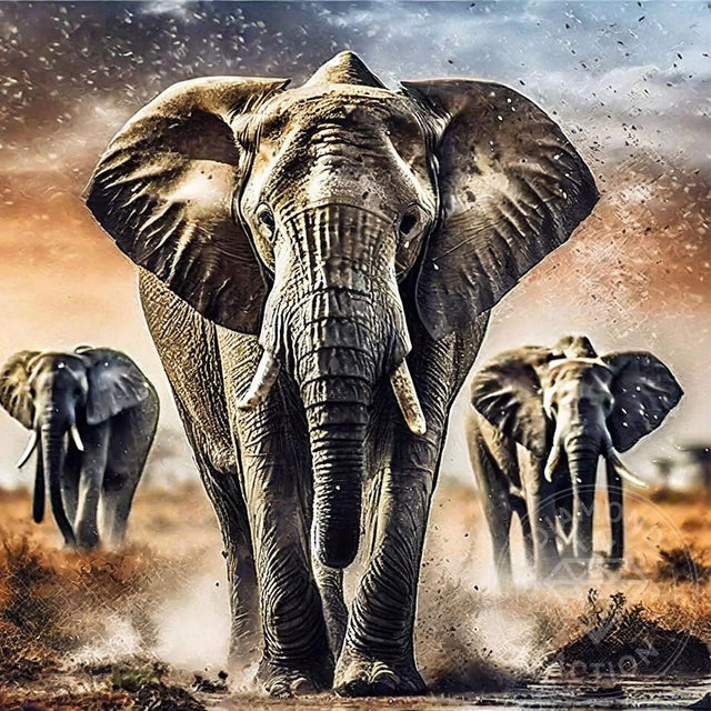 Broderie Diamant - Troupeau d'éléphants - Diamond Faction